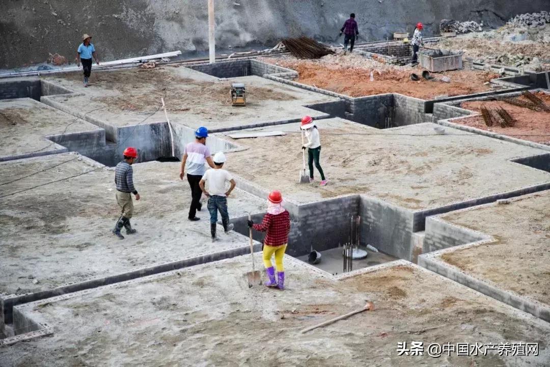 2017十大水产动保企业,水产饲料企业排行