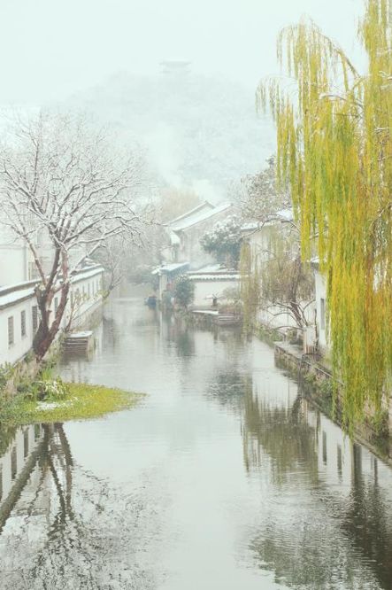 古诗词中柳树的寓意,古诗词里有冬天的诗句