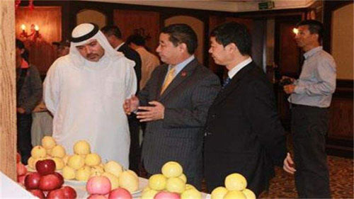 迪拜到底有钱到什么程度,迪拜处于沙漠地带为什么那么有钱