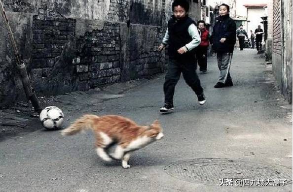 撒尿和泥放屁崩坑，致我的发小儿，我想你了