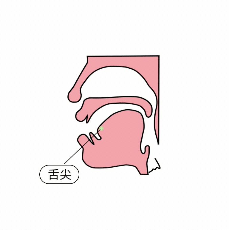 小学拼音前鼻音与后鼻音的区别,小学拼音前鼻音后鼻音怎么区分