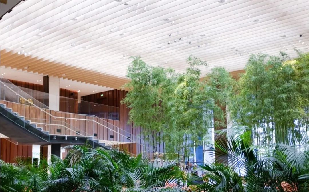 北京奔驰总部大楼地址望京,北京望京奔驰专修店