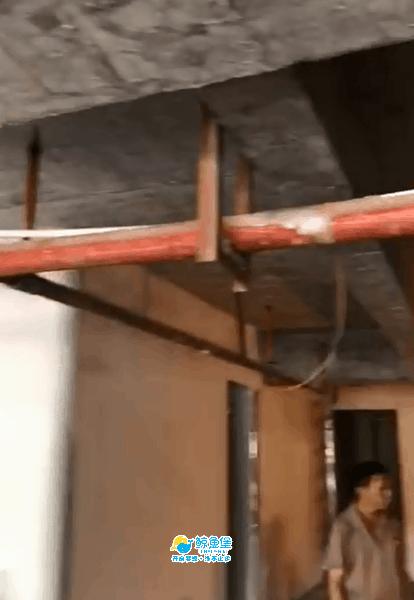 鲸鱼堡广东佛山南海店盛大开业,鲸鱼堡招商