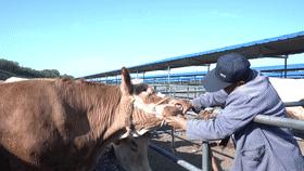 走向我们的小康社会,脱贫致富的小康生活