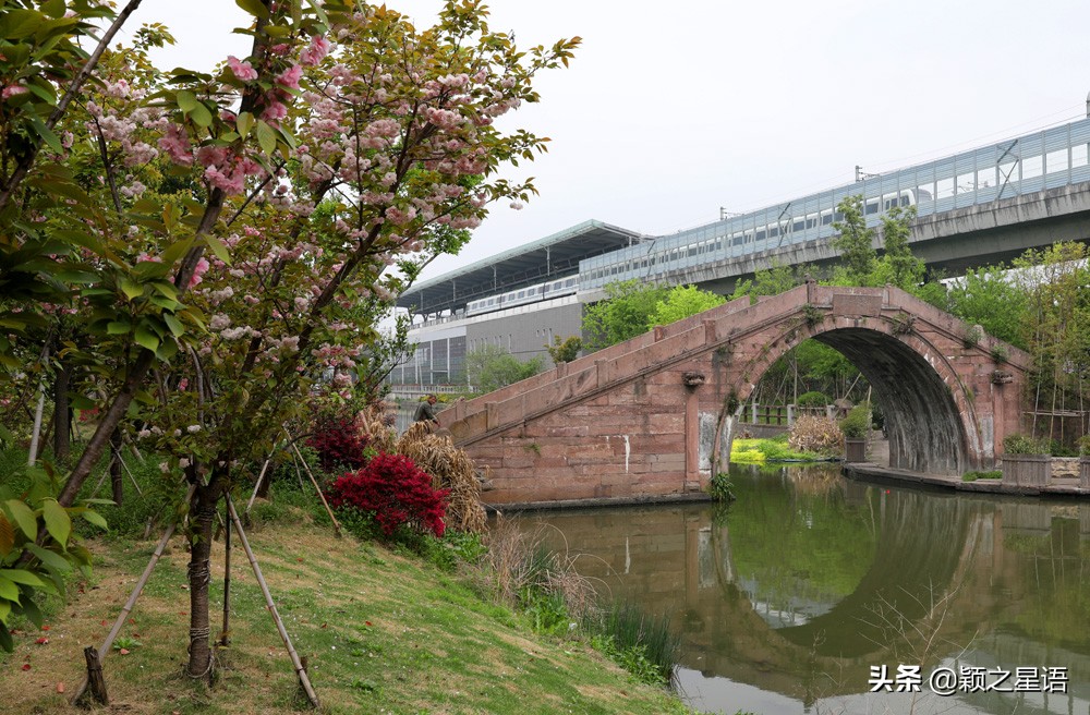 十里樱花十里尘,十五个赏樱地,赴一场樱花之恋