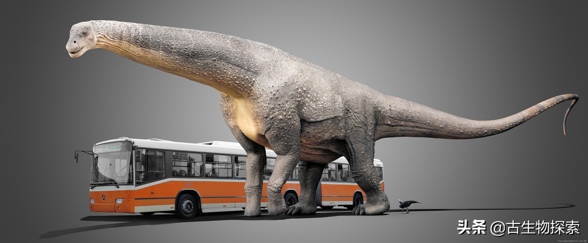 蜥脚类恐龙前十视频,蜥脚类恐龙排名