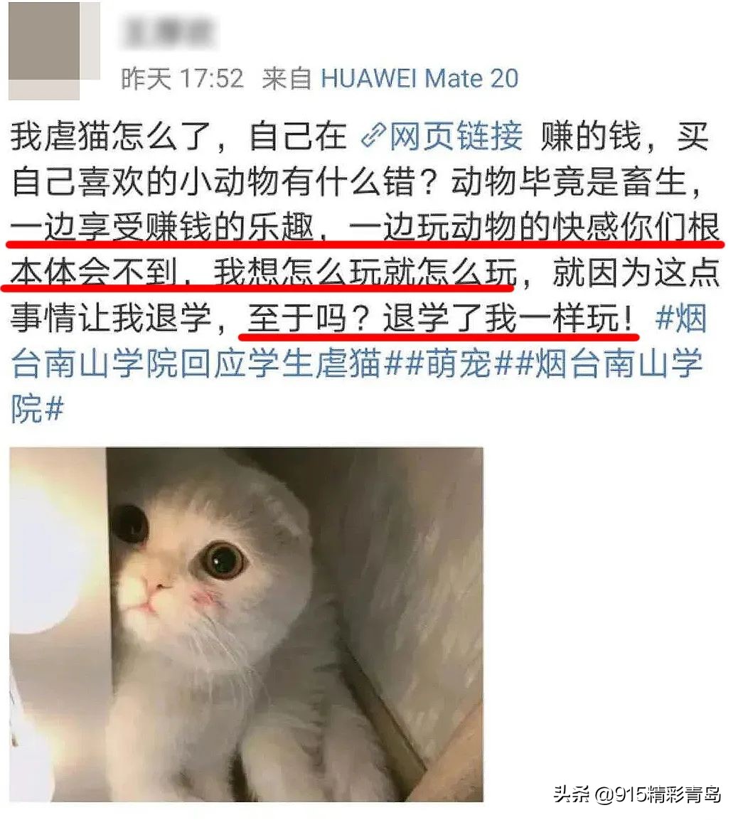 虐猫人士杀死中国留学生案件,虐猫者杀害中国留学生