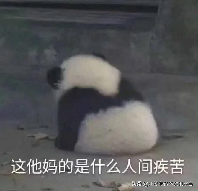 专转本的院校选择,专转本的学院