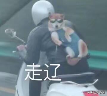 魔域手游血族打五虎boss伤害高,魔域手游血族怎么打世界boss