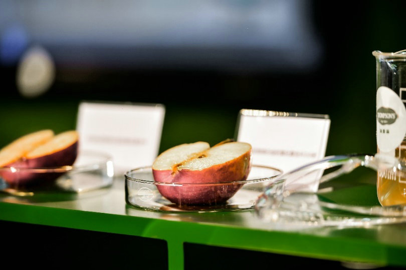 澳洲原装葡萄籽,新西兰国宝级葡萄籽