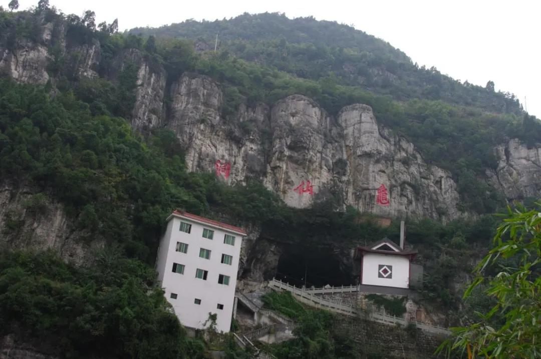 步长与长涛酒业什么关系,步长集团公司