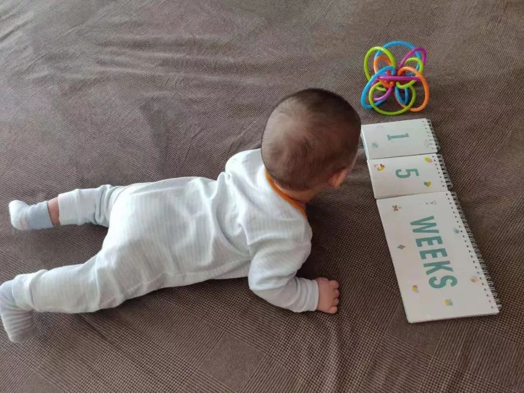 敲黑板划重点是什么,敲黑板划重点交作业