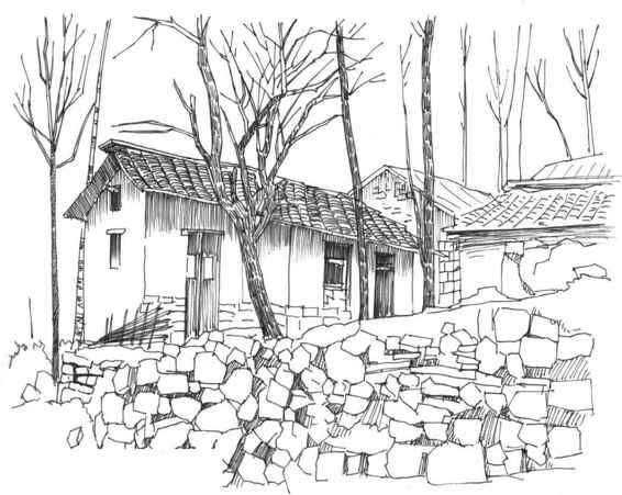 速写风景初学者入门教程,速写风景初学者入门教程植物