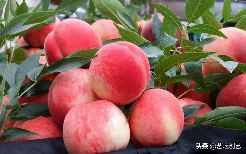 湖北标志性农产品,全国农产品地理标志目录四川