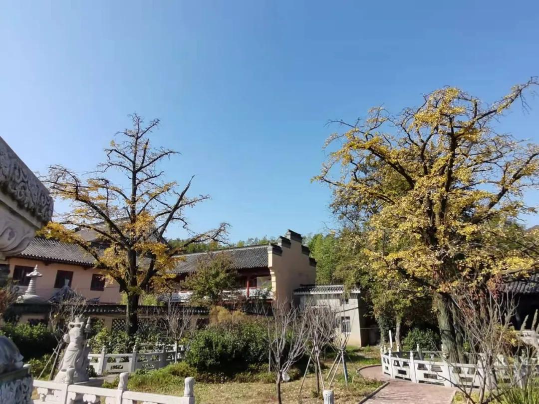 行走｜物华天宝宝华山