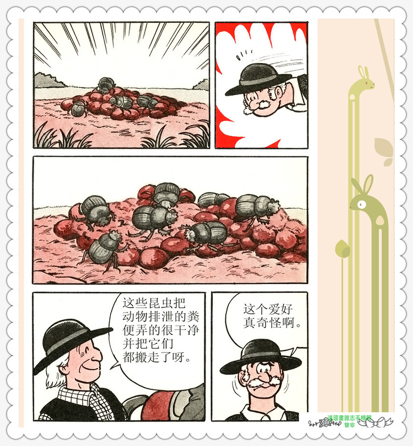 昆虫记法布尔动画片,昆虫记法布尔全套