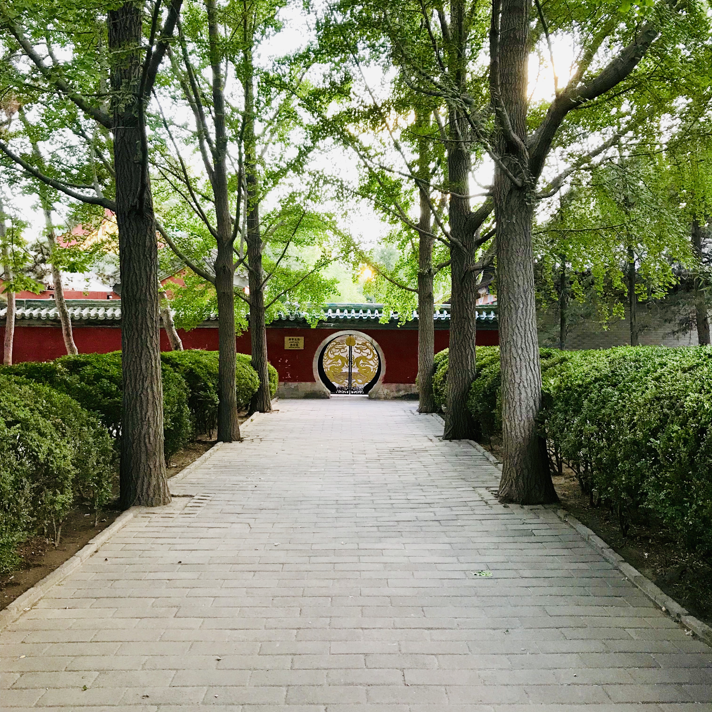 皓哥带你逛南京探店小达人,皓哥带你逛南京