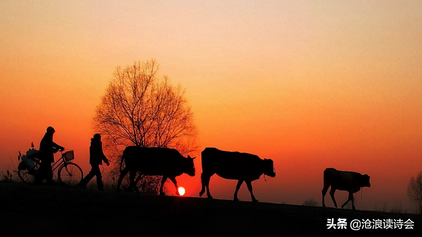 外出打工离家的心情的诗句,打工的诗句和经典句子