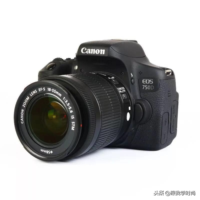 佳能单反相机入门级推荐,最值得入手的单反新手入门