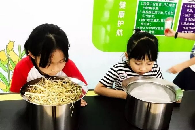 风靡香港79年，连续获得本土牛奶品牌销冠，今天带你解密维记牛奶