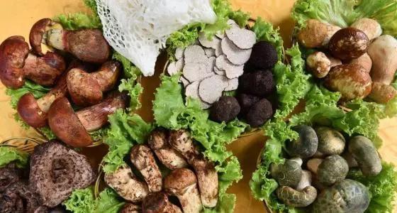 去云南旅游必带的特产,云南旅游大巴车上的土特产