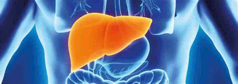 右上腹隐痛ct检查出脂肪肝,右上腹疼痛查出肝占位