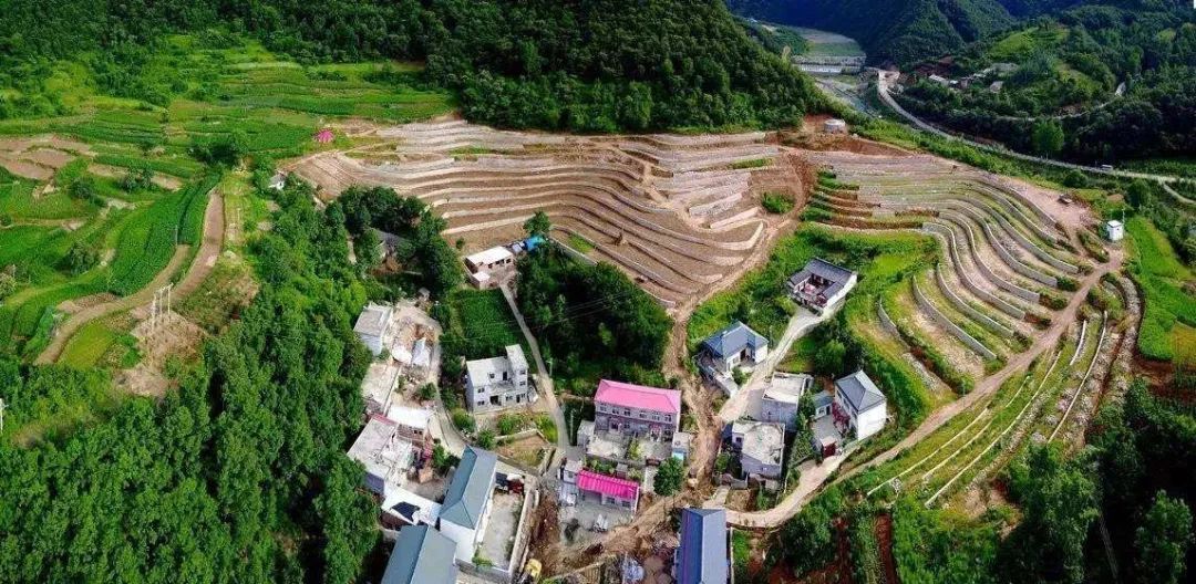 走向我们的小康生活视频如何制作,走向我们的小康生活中国画