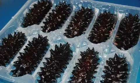 自助餐海参是人造的吗,海参有不能吃的品种吗