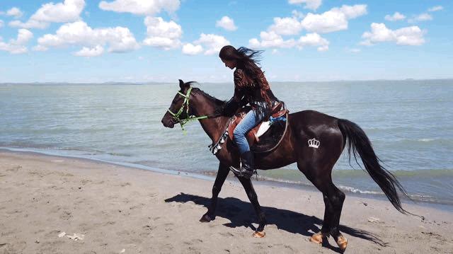 马背之旅旅游攻略,马背之旅旅游视频