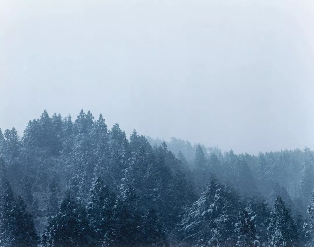视觉传达设计如何提升美感,如何让品牌设计具有感染力