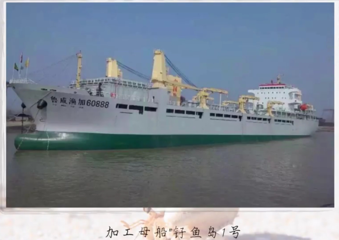 人工养殖海鲜全过程,内陆地区人工养殖海鲜