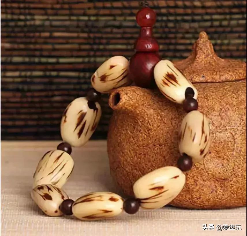 这张菩提子家谱，囊括30种，很少能有人认全