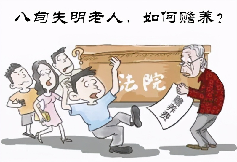 “请您当法官”第15期￨八旬失明老人，如何赡养？