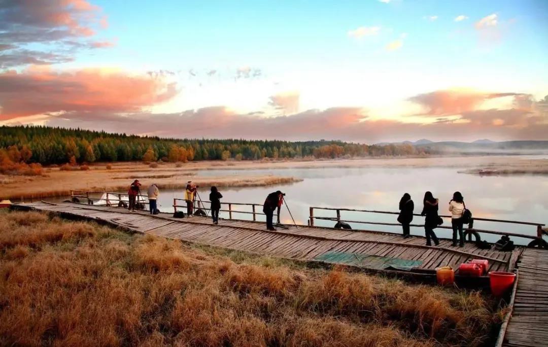 摩尔多瓦节日,摩尔多瓦葡萄酒节