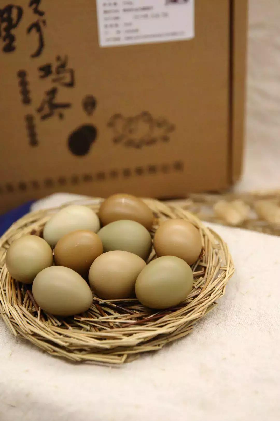 野鸡蛋都在哪里,野鸡蛋和鸡蛋哪个好