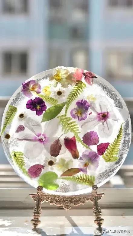 冻冰花美篇,冻冰花的美篇