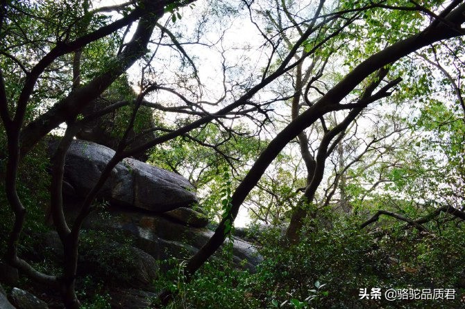 厦门海边之旅,厦门小众旅游体验