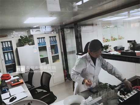 去更聪明的智慧菜场屯冬粮