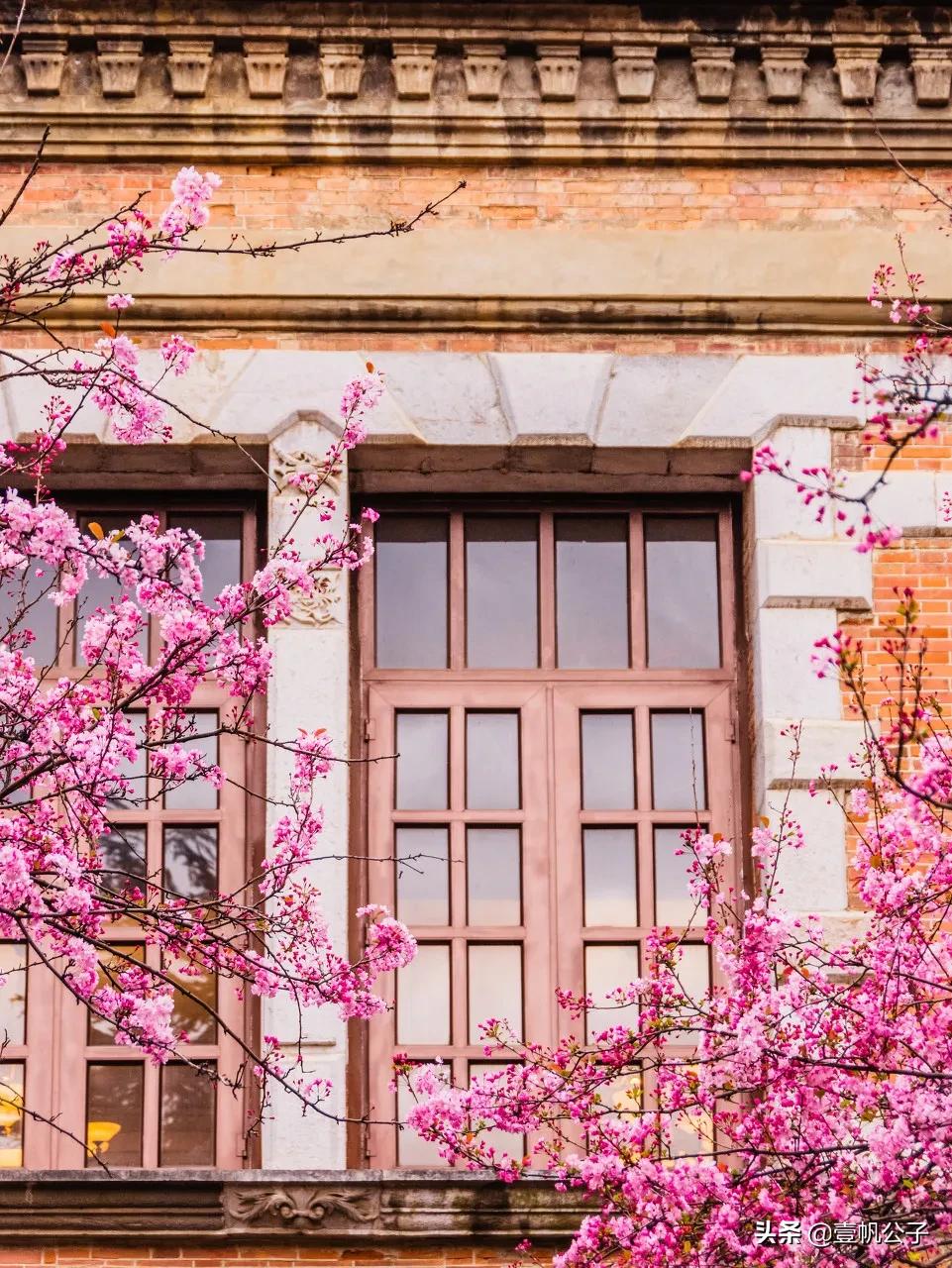 被大理的美景所折服,被丽江的风景美到了
