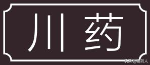 各县道地药材,道地药材重点区域