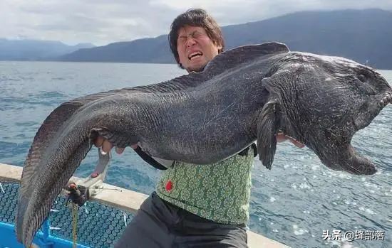 日本海水污染了中国海鲜还能吃吗,核污染入海日本民众看法