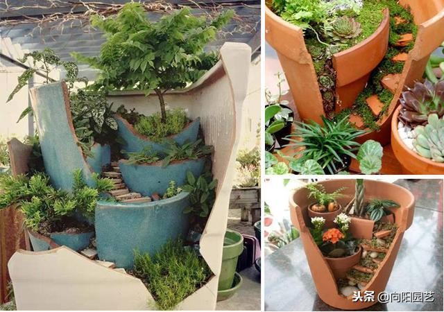 空酒瓶创意改造盆栽,室内盆栽植物专用瓶