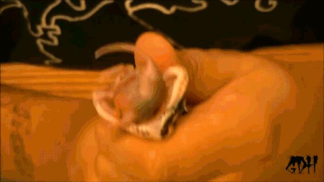 「爬宠饲养」蛇苗不开食难道只能填？​且慢