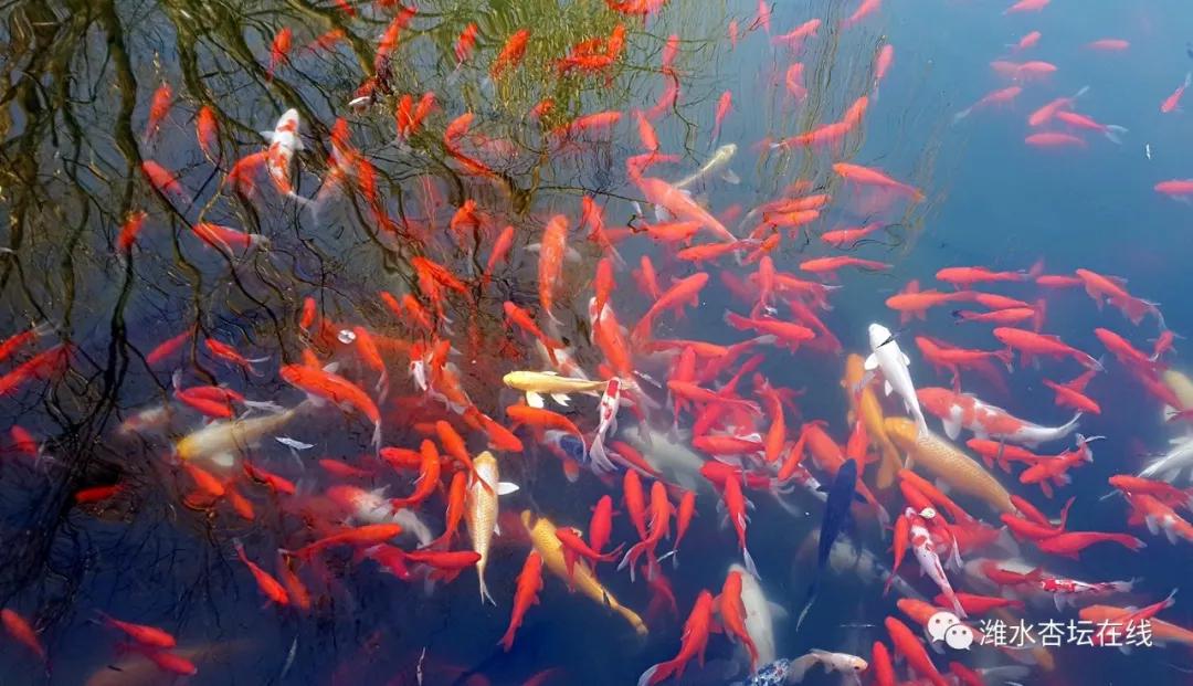 一双好朋友都考入北大，一个关于昌邑一中的温暖故事