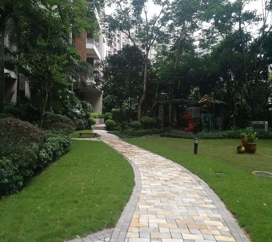 星河丹堤小区效果图,星河丹堤航拍视频