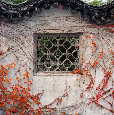 苏州四大古典名园之拙政园,江南古典园林代表苏州拙政园