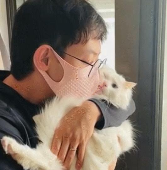 猫和老虎能杂交生育吗,猫和老虎可以生育吗