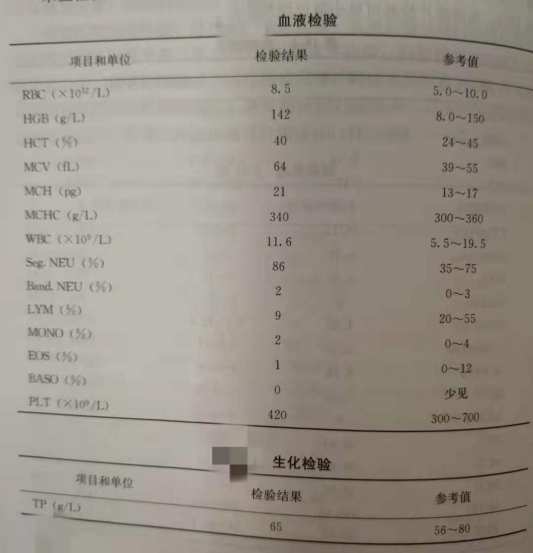 不能被忽视猫咪的5个救命信号,猫咪应激反应的表现
