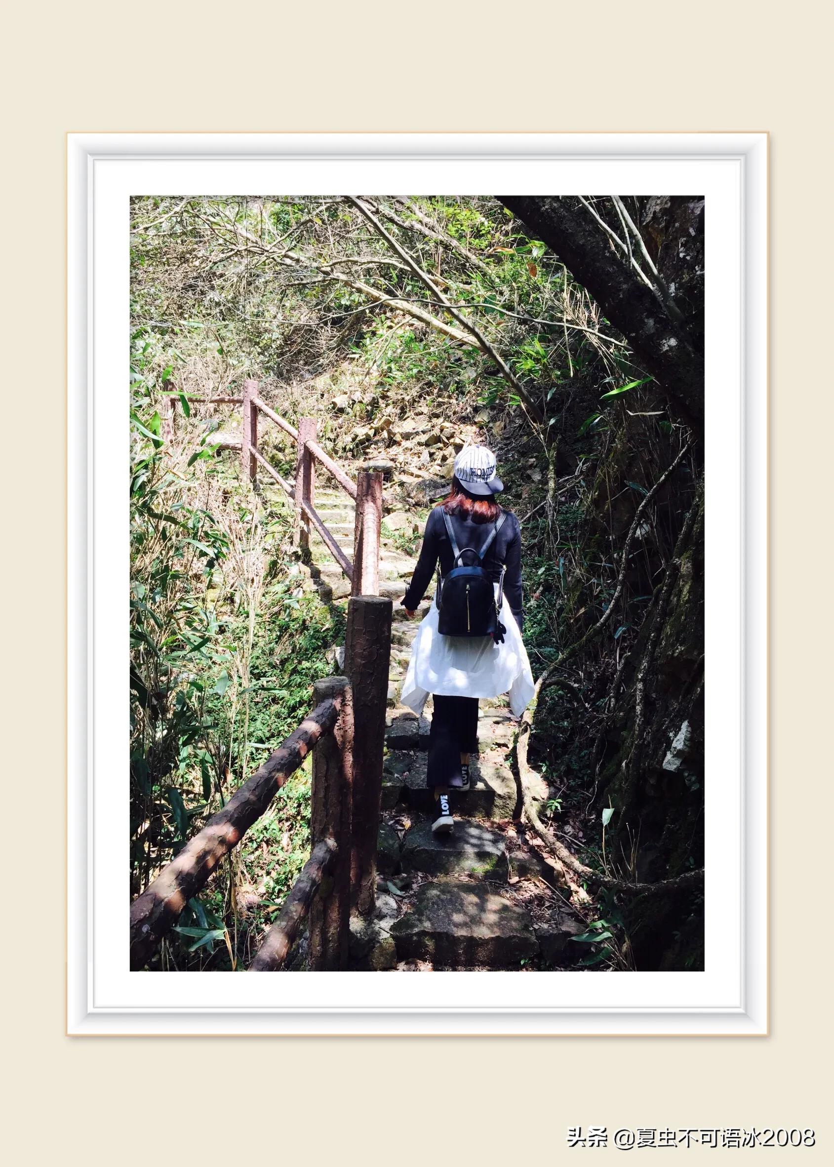 微课在物理教学中的应用,微课在物理教学中的应用论文