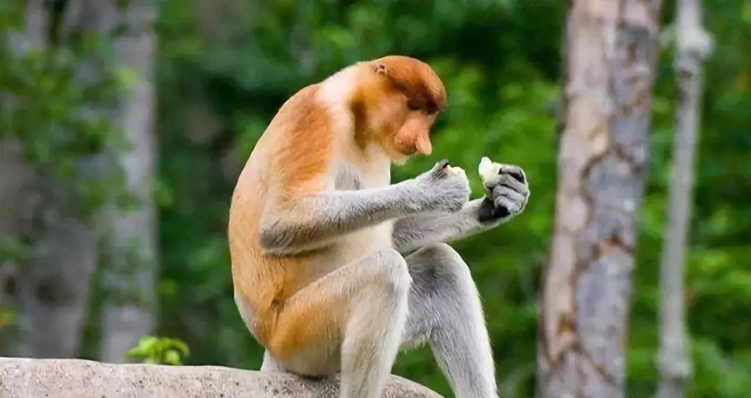 去马尔代夫玩哪个岛最值得推荐,去哪里旅游马尔代夫划算